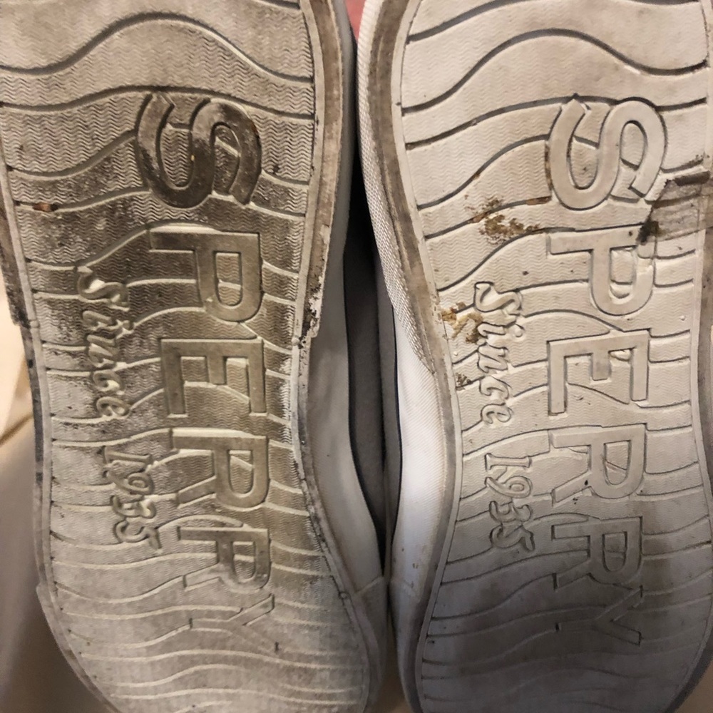 Sperry Casual Shoe - Picture 5 of 5